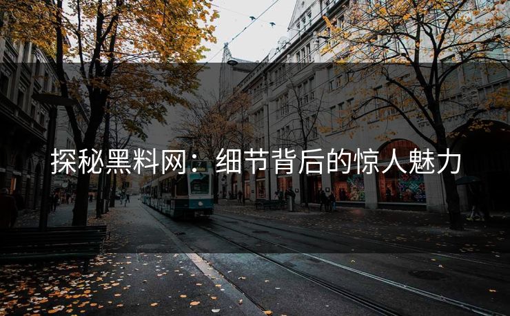 探秘黑料网：细节背后的惊人魅力  第1张
