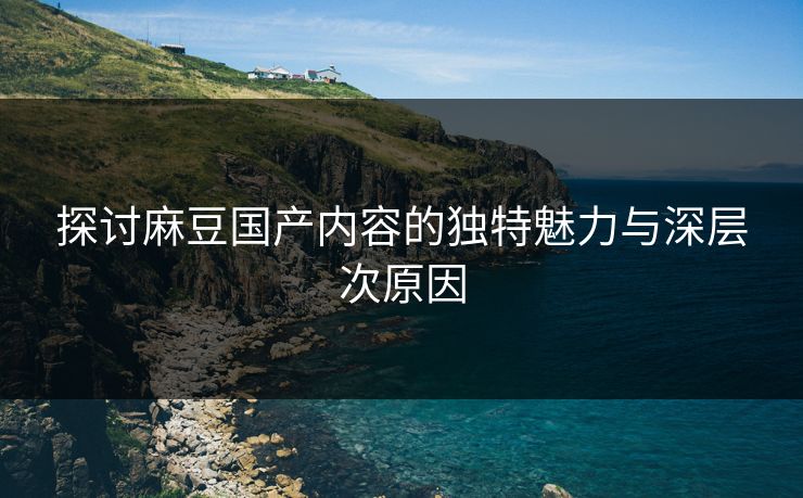 探讨麻豆国产内容的独特魅力与深层次原因  第1张