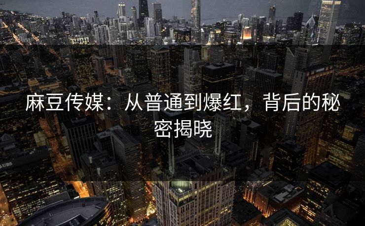 麻豆传媒：从普通到爆红，背后的秘密揭晓  第1张