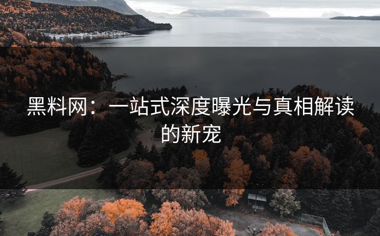 黑料网：一站式深度曝光与真相解读的新宠  第1张