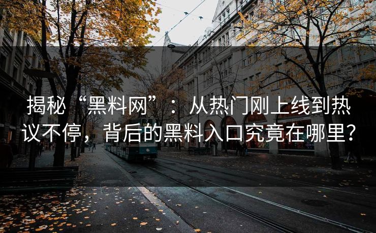 揭秘“黑料网”：从热门刚上线到热议不停，背后的黑料入口究竟在哪里？  第1张