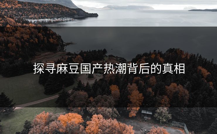 探寻麻豆国产热潮背后的真相  第1张