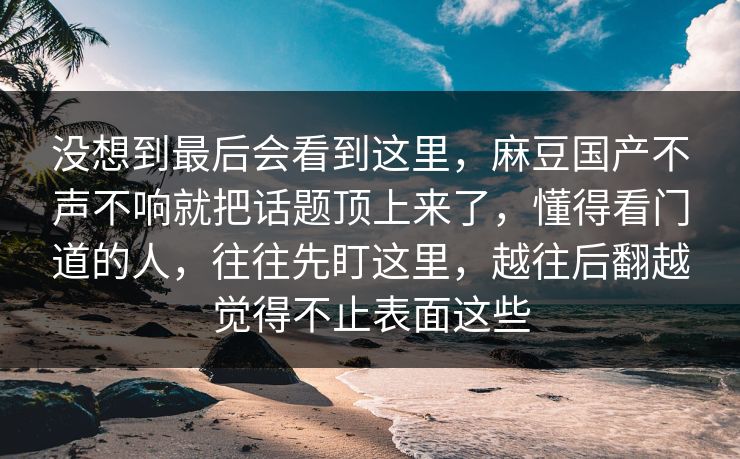 没想到最后会看到这里，麻豆国产不声不响就把话题顶上来了，懂得看门道的人，往往先盯这里，越往后翻越觉得不止表面这些