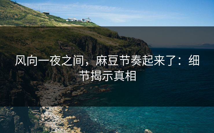 风向一夜之间，麻豆节奏起来了：细节揭示真相  第1张