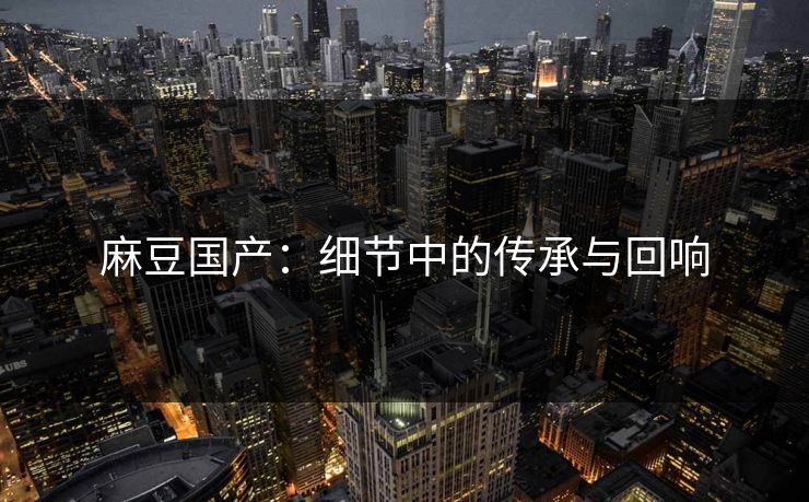 麻豆国产:细节中的传承与回响 第1张 麻豆国产:细节中的传承与回响 第1张